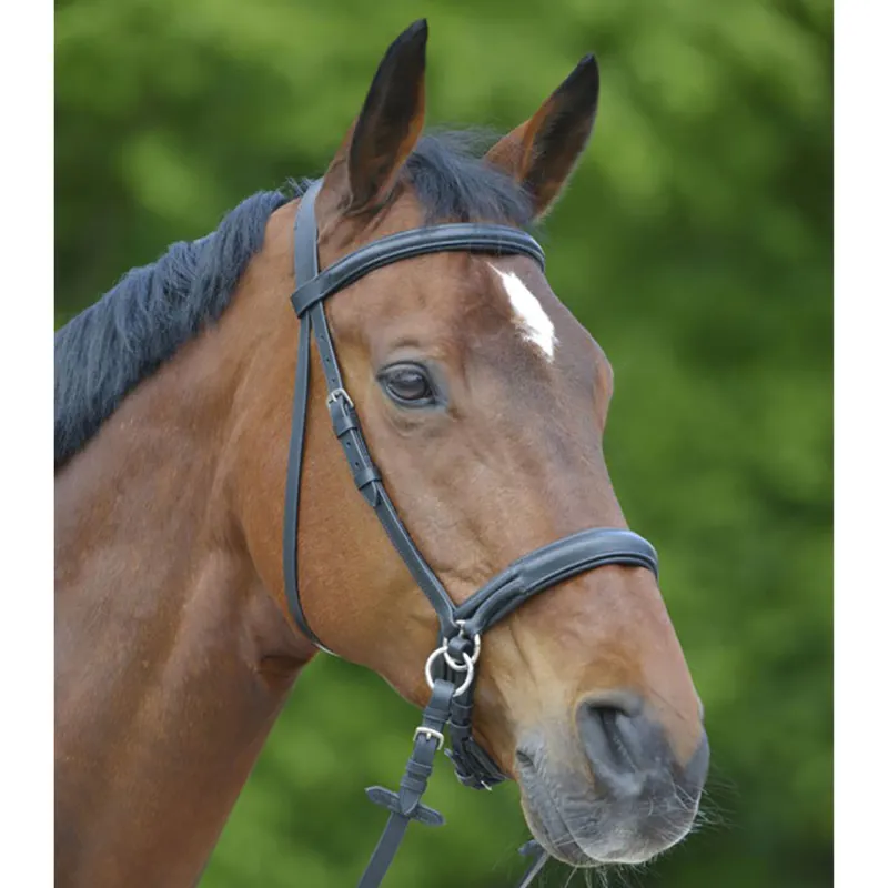 Waldhausen Star Bitless Bridle - Black