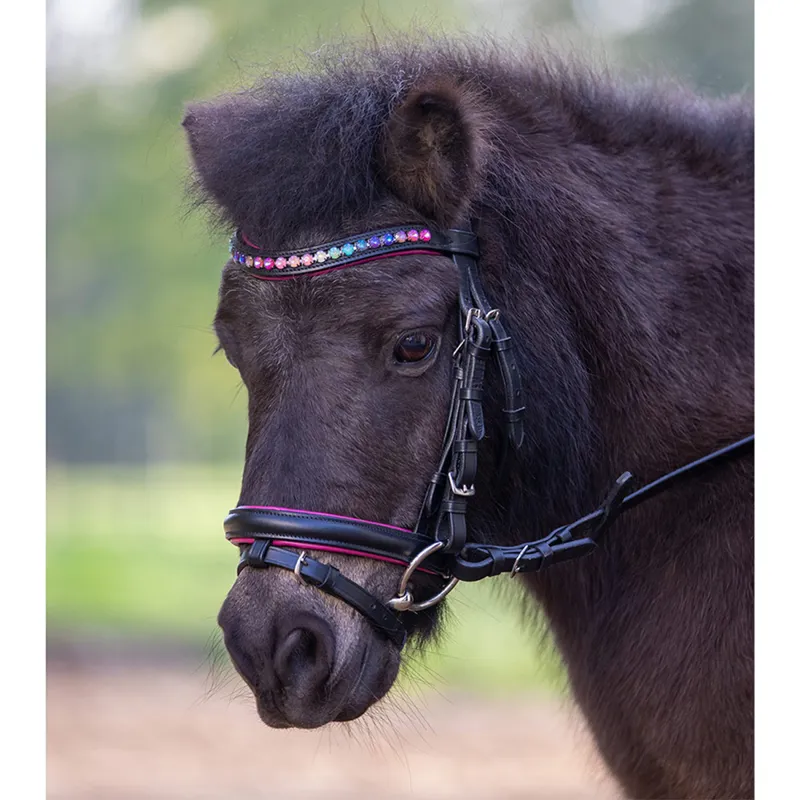 Waldhausen Star Pinky Bridle - Black/Pink