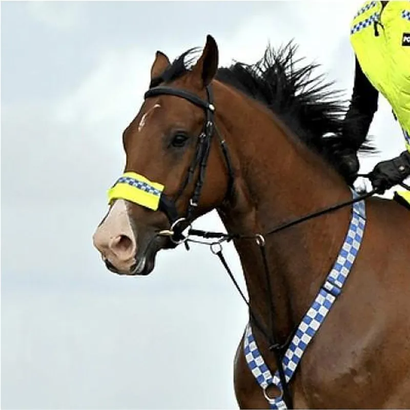 Equisafety Polite Reflective Neckband-1