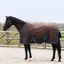 Imperial Riding Limited Fleece Highneck 0g Turnout Rug - Brown