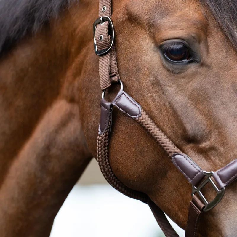 Imperial Riding Laura Headcollar - Chocolate-1