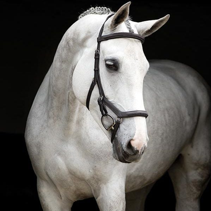 Horseware Rambo Micklem Deluxe Competition Bridle - Dark Havana