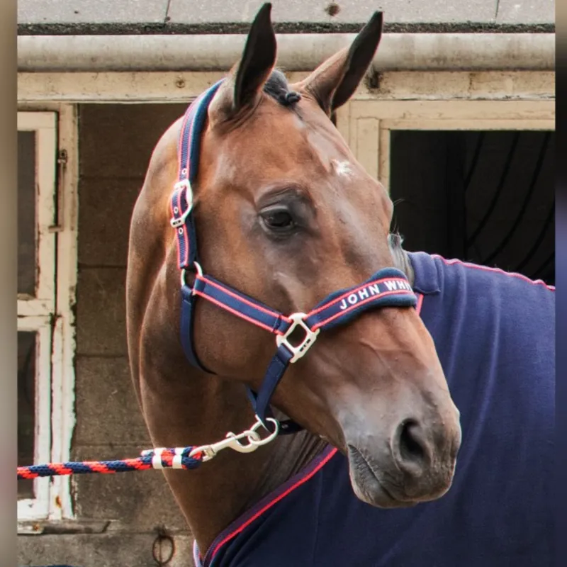 John Whitaker Airflow Headcollar and Leadrope Set - Navy/Red
