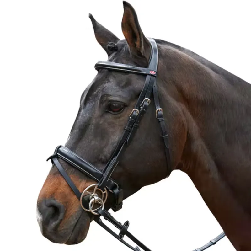 John Whitaker Eastwood Crank Bridle - Black