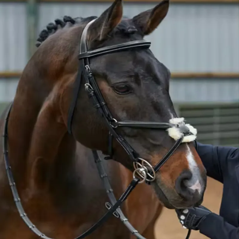 John Whitaker Eastwood Mexican Grackle Bridle - Black