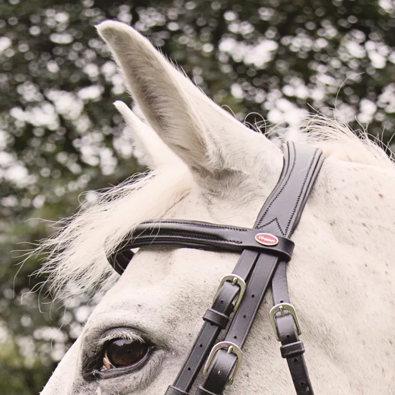 John Whitaker Eastwood Mexican Grackle Bridle - Havana -1