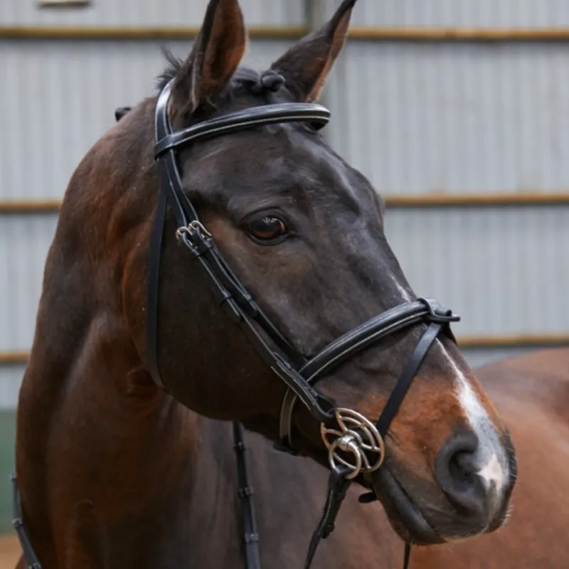 John Whitaker Eastwood Flash Bridle - Black