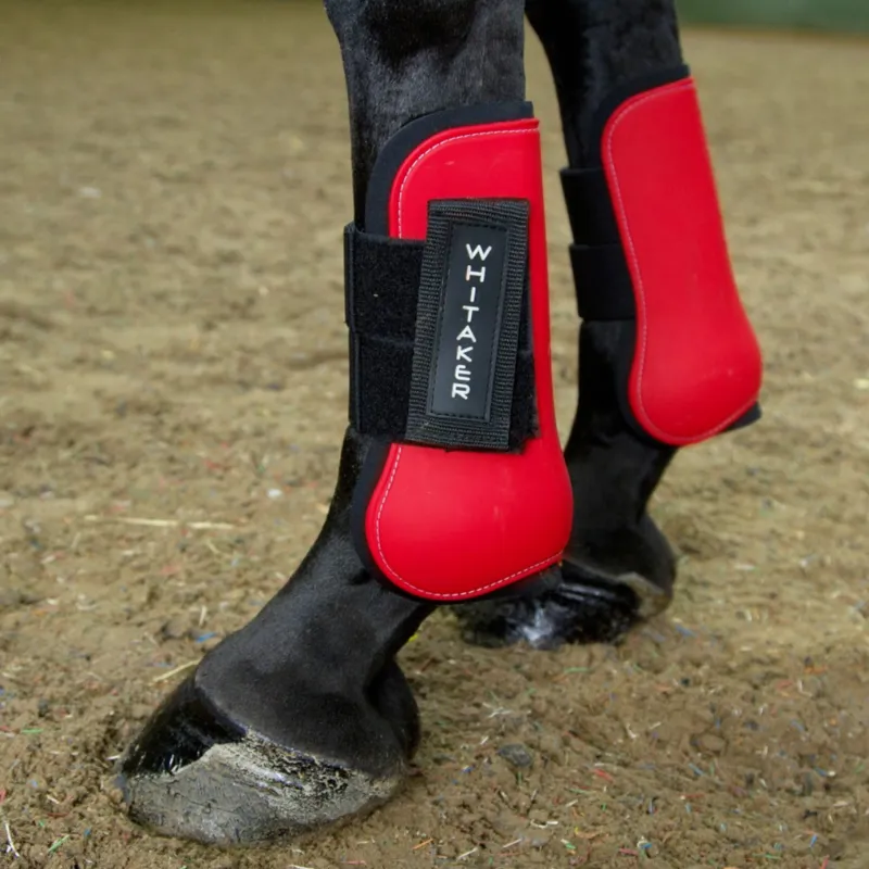 John Whitaker Skipton Tendon and Fetlock Boots - Set of 4