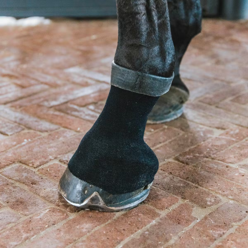 Kentucky Tendon Grip Sock