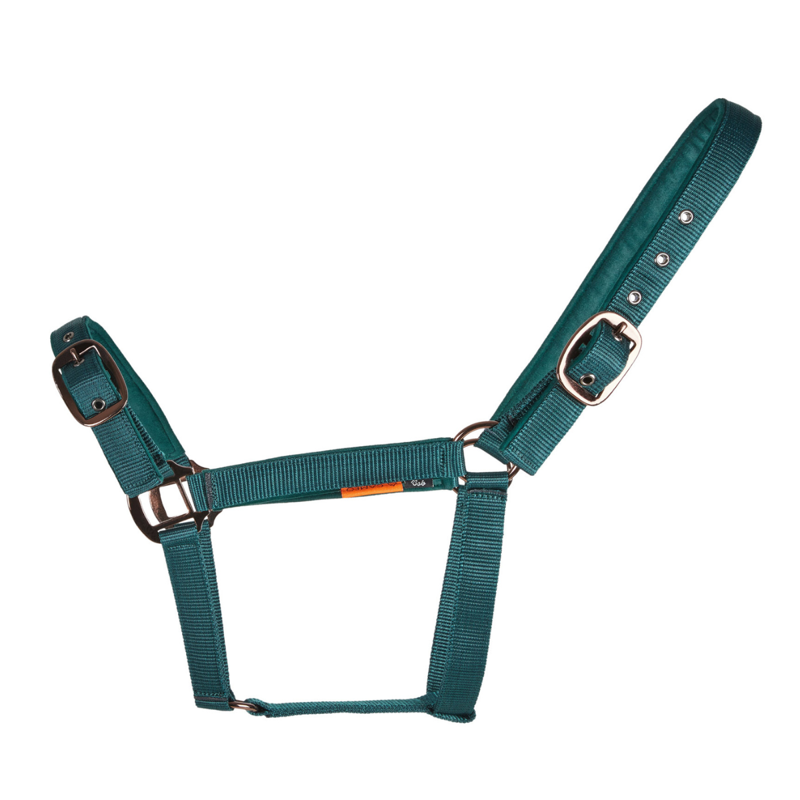 Cameo Suede Padded Headcollar - Evergreen