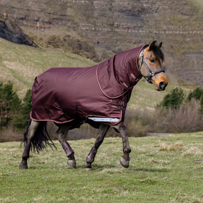 LeMieux Arika Ripstop 0g Turnout Rug - Bramble