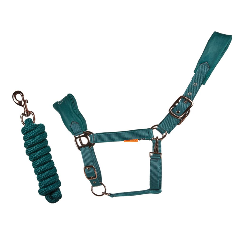 Cameo Suede Elite Headcollar and Leadrope - Evergreen-1