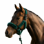 Cameo Deluxe Headcollar - Evergreen