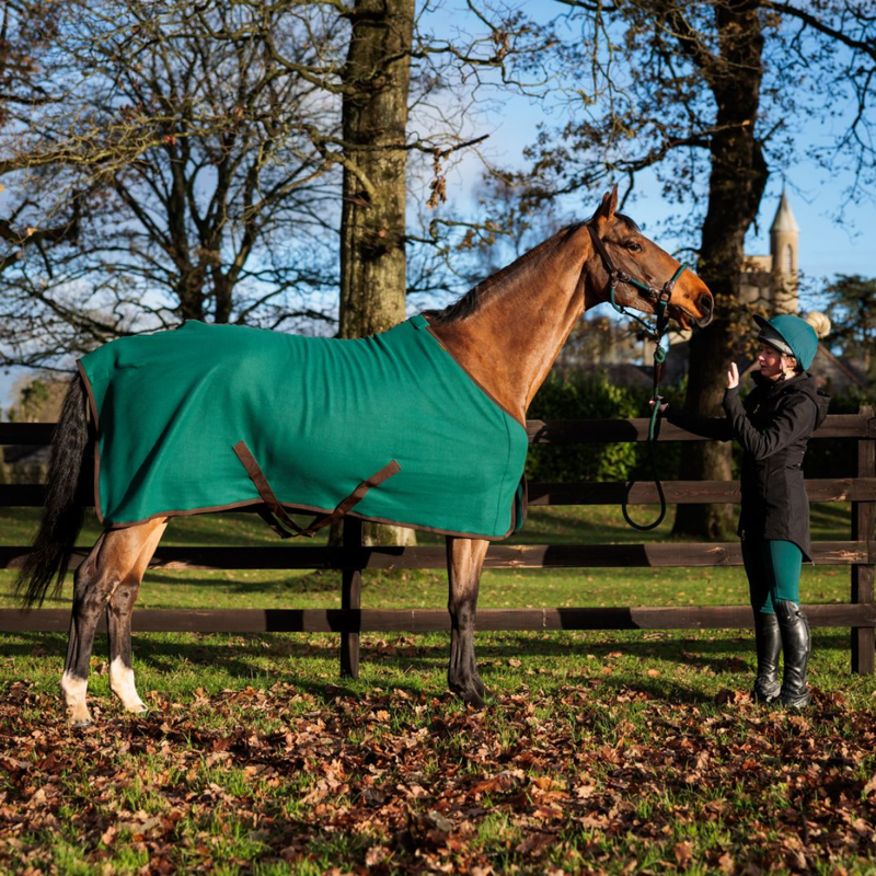 Cameo Fleece Show Rug - Evergreen