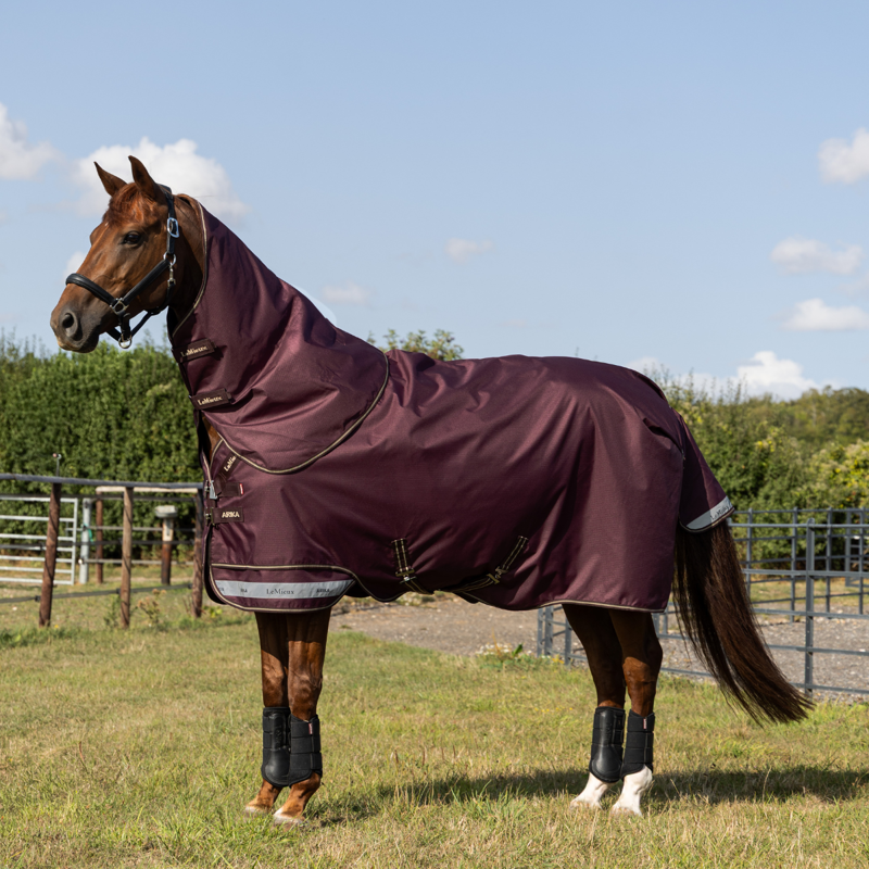 LeMieux Arika Ripstop 100g Turnout Rug - Bramble
