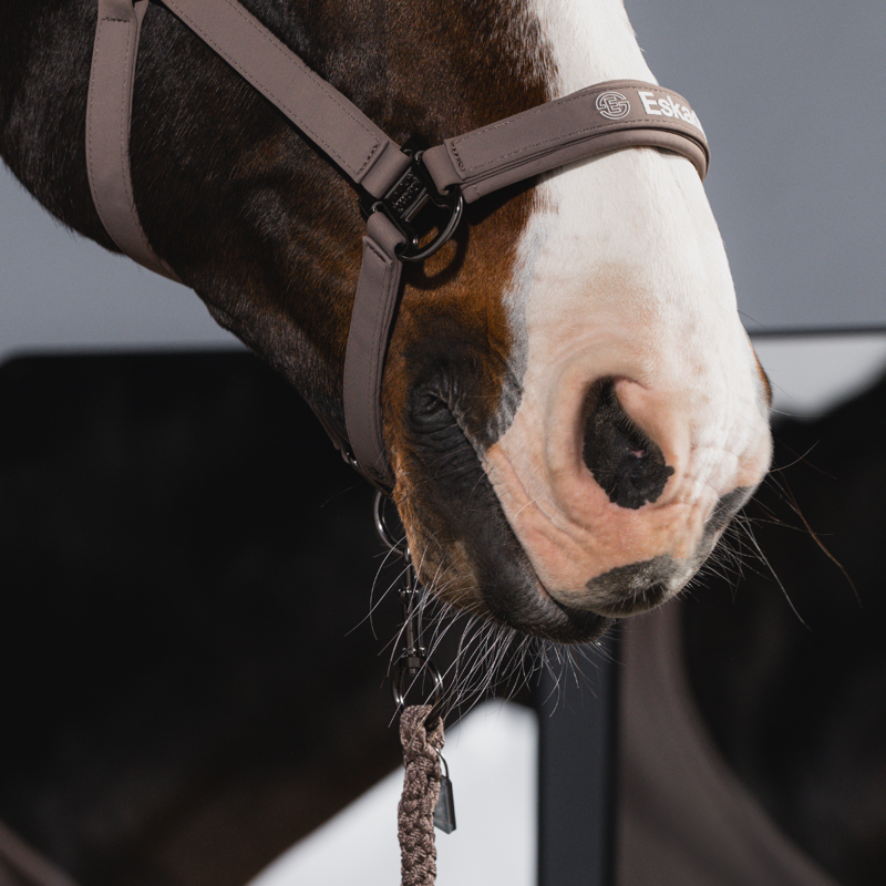 Eskadron Softshell Double Pin Headcollar - Powder Taupe-1