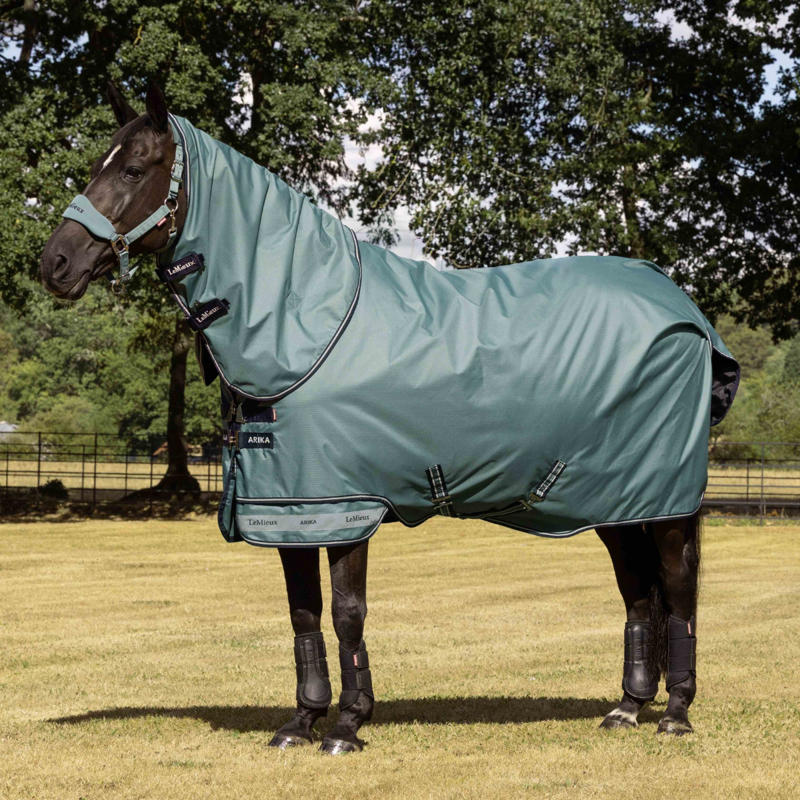 LeMieux Arika Ripstop 200g Turnout Rug - Aloe