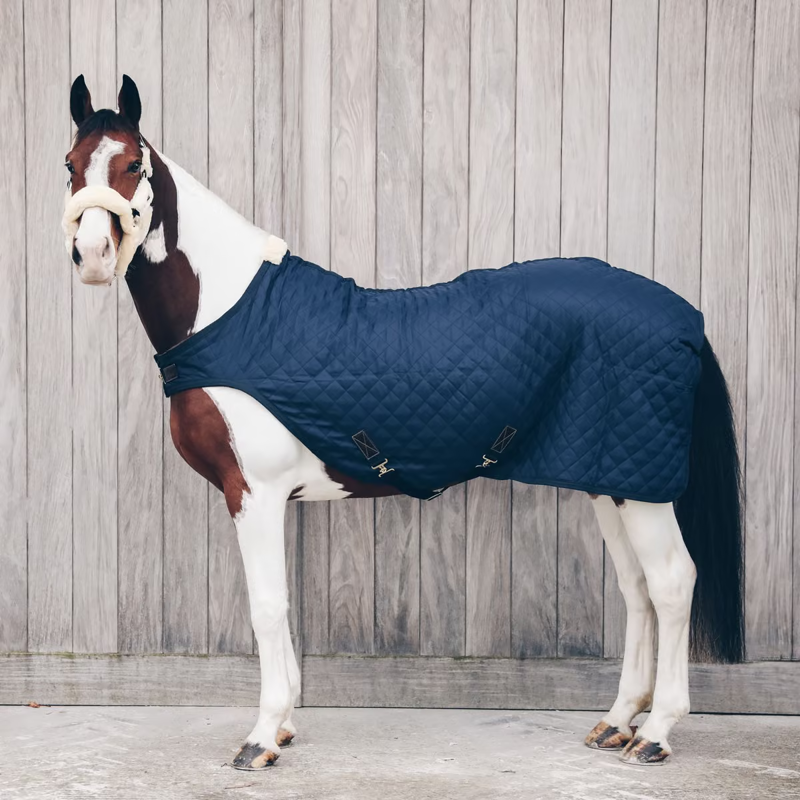 Kentucky 160g Walker Rug - Navy