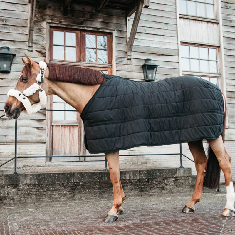 Kentucky 300g Skin Friendly Under Rug - Black