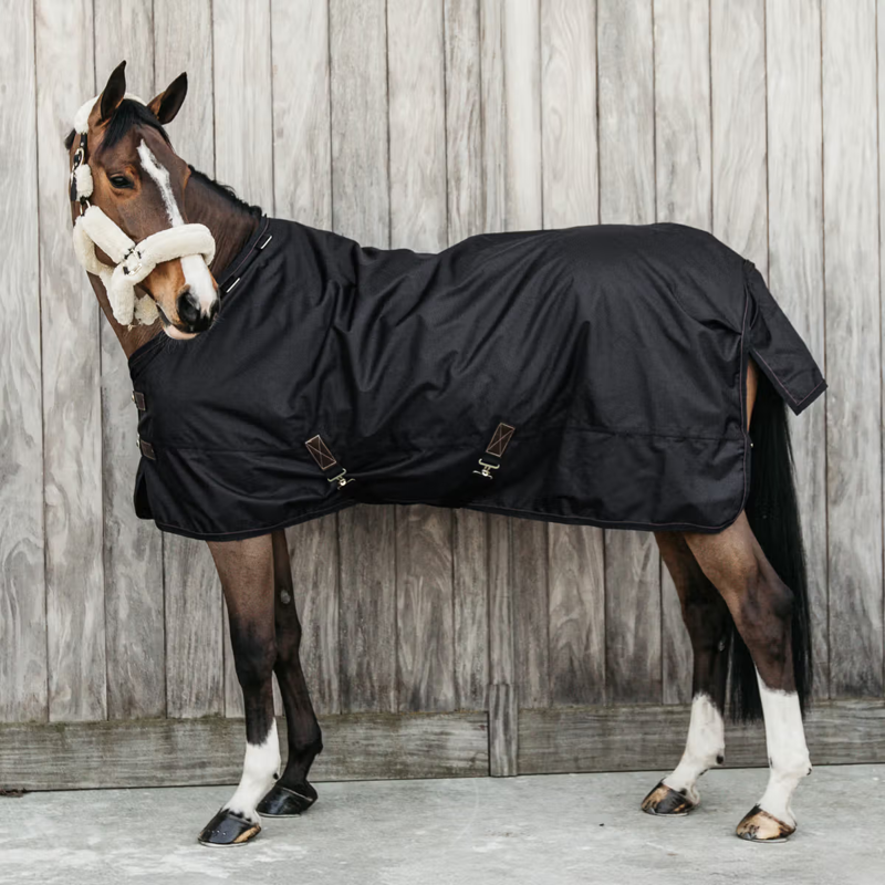 Kentucky All Weather 160g Pro Turnout Rug - Black