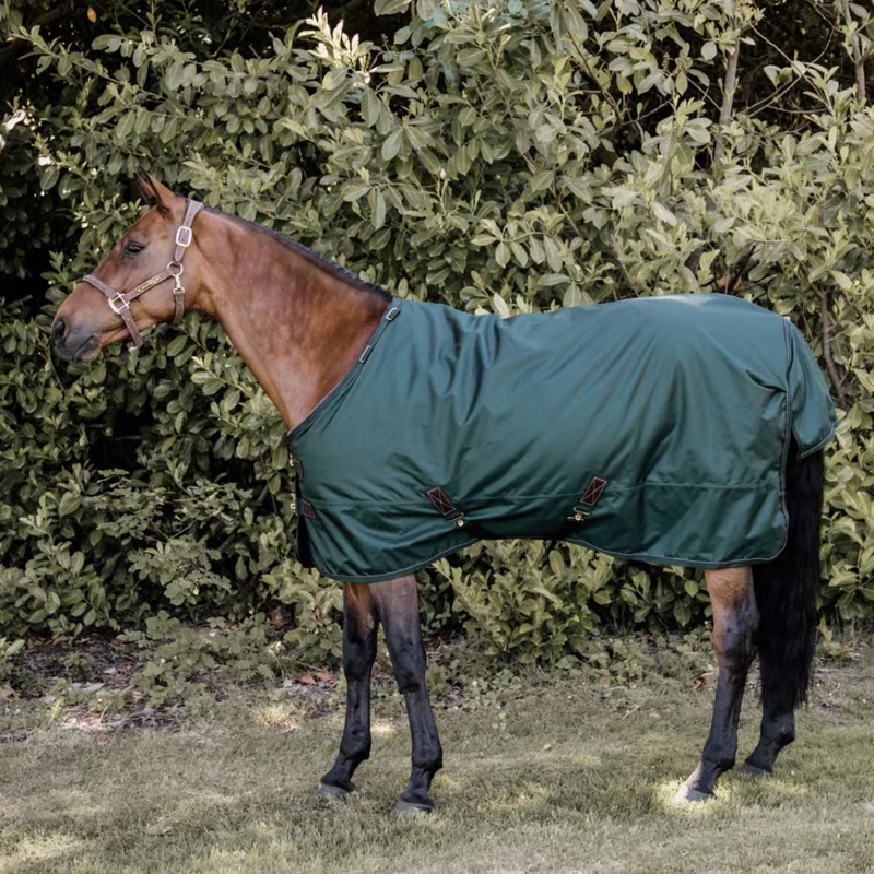 Kentucky All Weather 160g Pro Turnout Rug - Dark Green