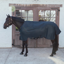 Kentucky Transport Combo Fleece Cooler - Navy