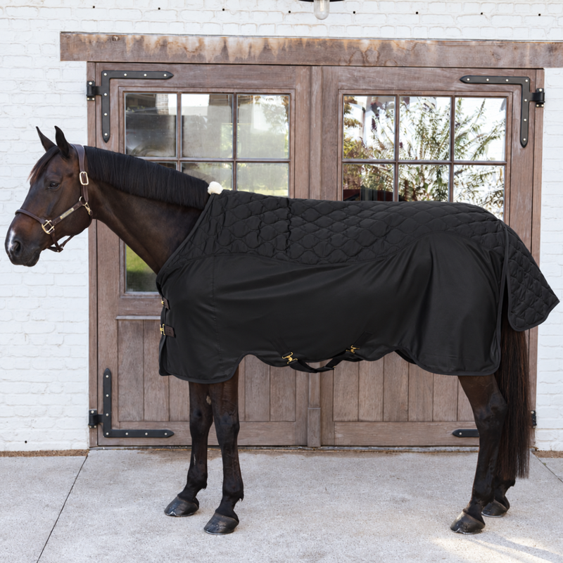 Kentucky Transport Combo Fleece Cooler - Black