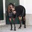 Kentucky 3D Spacer Cooler Sheet - Black