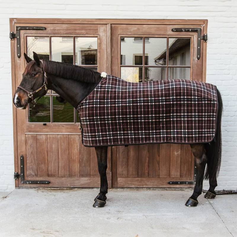 Kentucky Heavy Check Fleece Rug - Brown