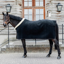 Kentucky Heavy Fleece Show Rug - Black