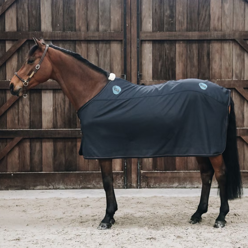 Kentucky Recuptex Magnetic Rug - Navy