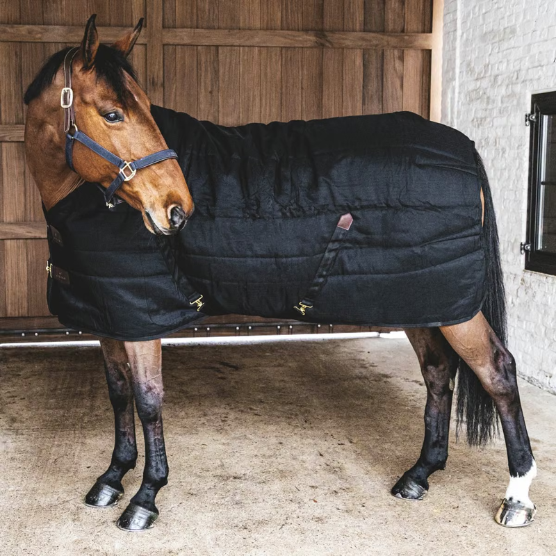 Kentucky Classic 300g Stable Rug - Black