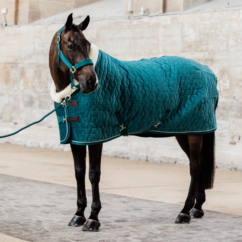 Kentucky Velvet Show Rug - Emerald