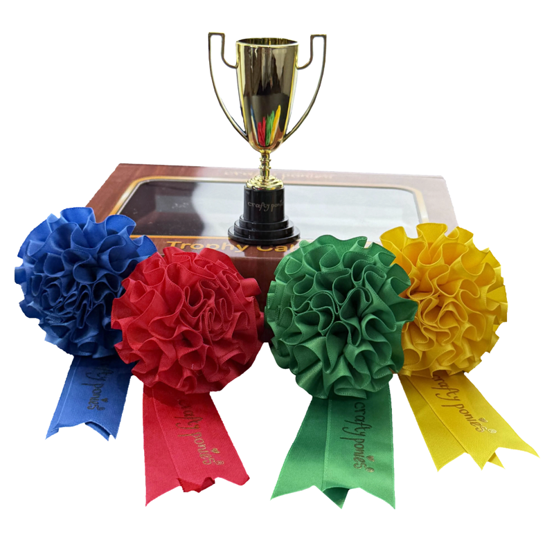 Crafty Ponies Trophy Set