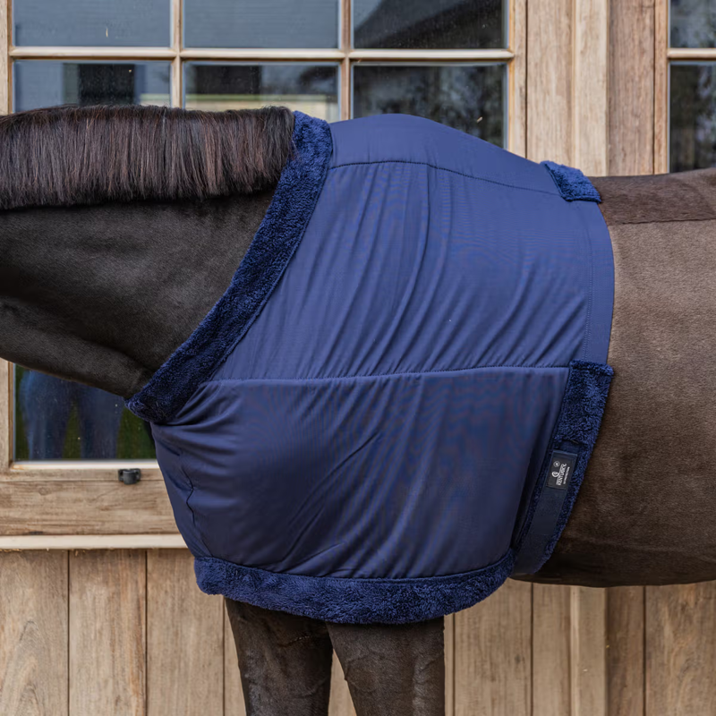 Kentucky Chest Protection - Navy