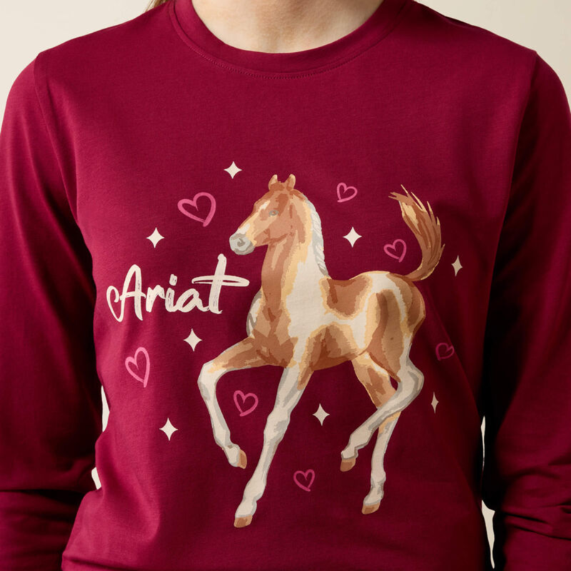 Ariat Youth Painted Dream T-Shirt - Beet Red-2