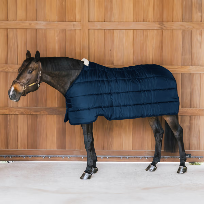 Kentucky 100g Comfort Liner - Navy