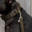 Kentucky Teddy Fleece Dog Collar - Pine Green