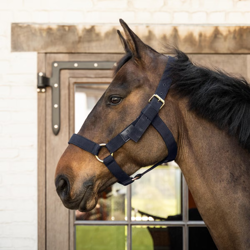 Kentucky Heavy Duty Headcollar - Navy
