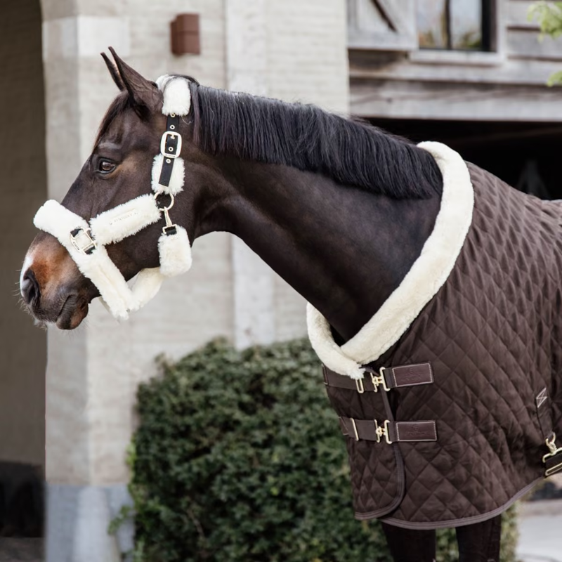 Kentucky Show Rug - Brown-1