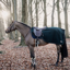 Kentucky Fleece Exercise Sheet - Pine Green
