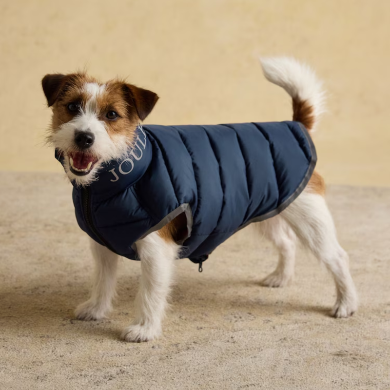 Joules Moorsdale Reversible Dog Puffer Coat - Navy