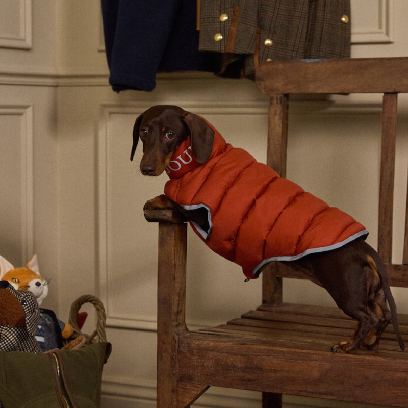 Joules Moorsdale Reversible Dog Puffer Coat - Ketchup-1