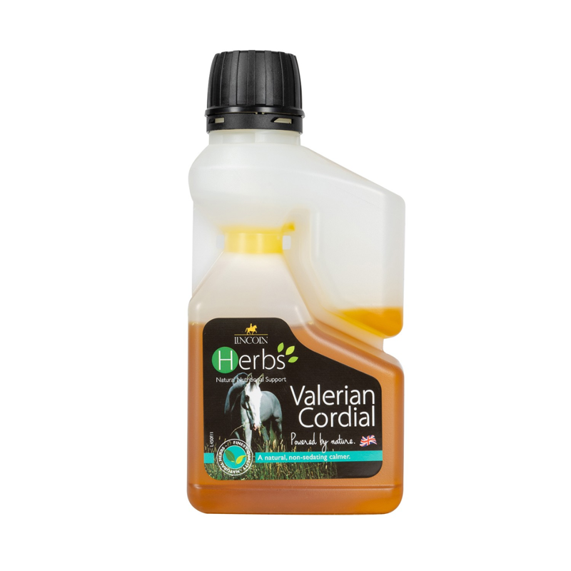 Lincoln Herbs Valerian Cordial-1