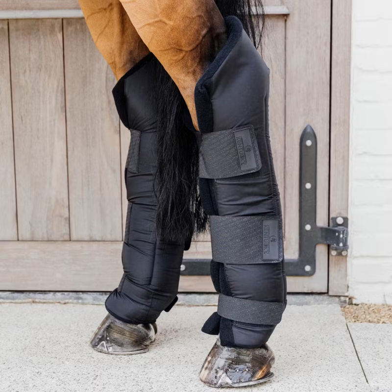 Kentucky Stable Boots PROtect Long Hind with Hook Protector - Black