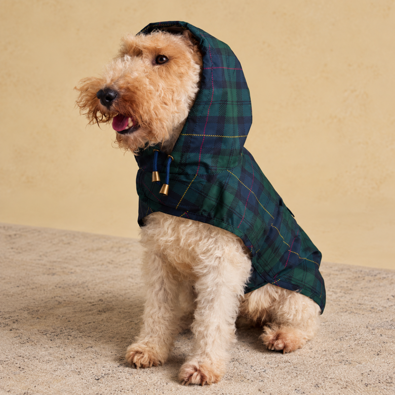 Joules Blackwatch Check Packaway Dog Jacket-1