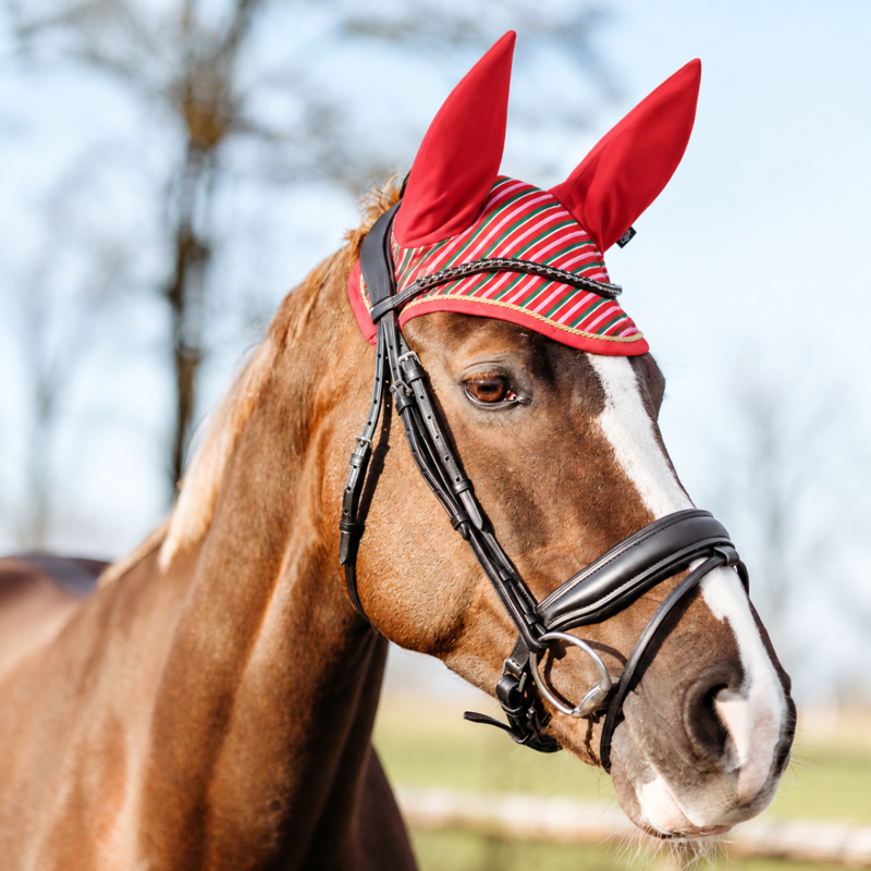 QHP Christmas Print Ear Net - Jolly Stripe