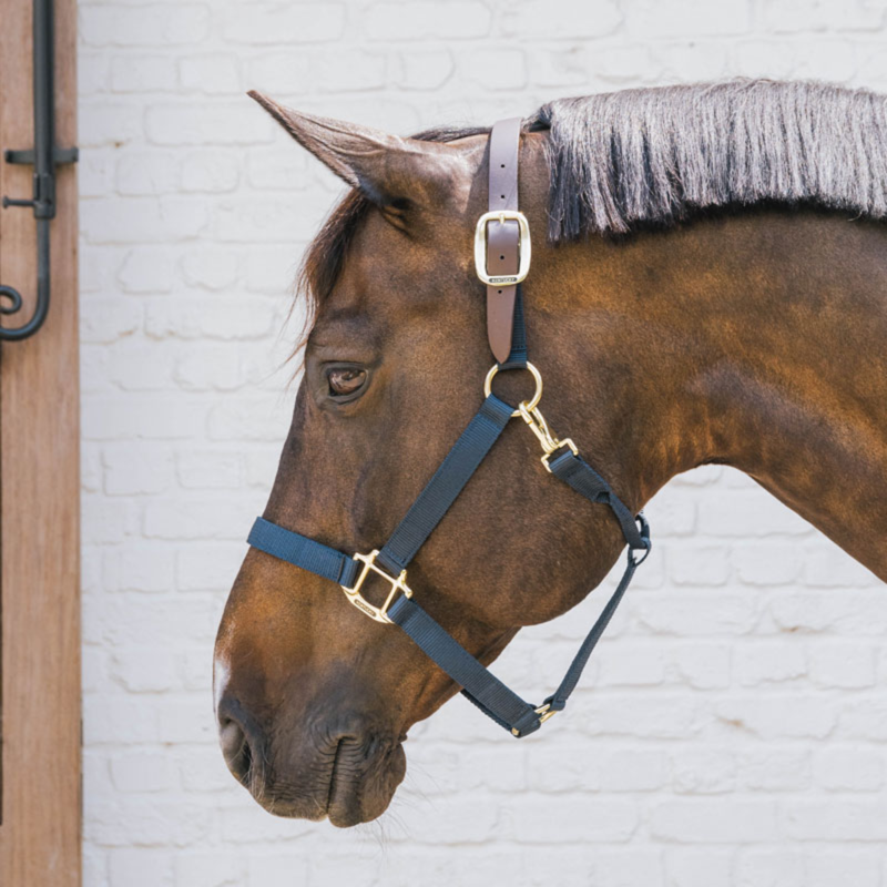 Kentucky Nylon Breakaway Headcollar - Navy