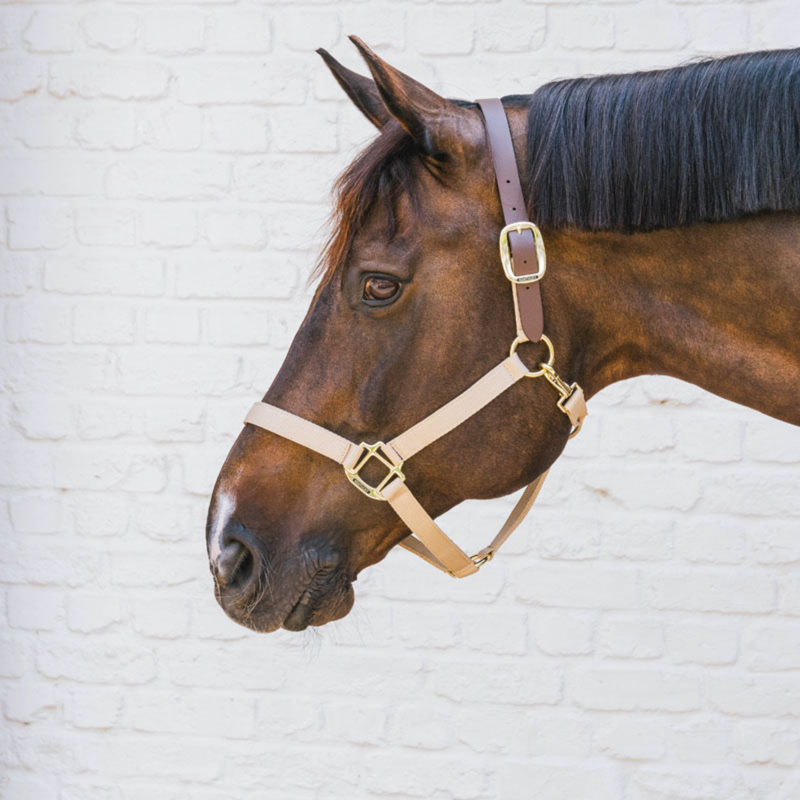 Kentucky Nylon Breakaway Headcollar - Beige