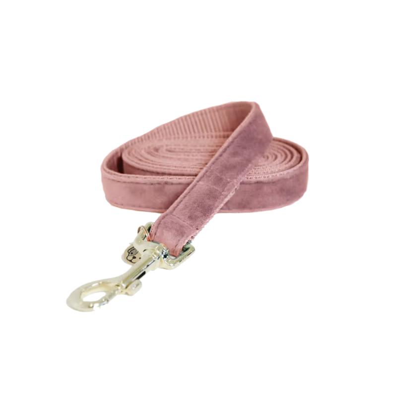Kentucky Velvet Dog Lead 120cm - Old Rose